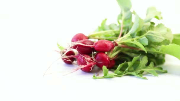 Red radish with foliage on a white background — Stock Video