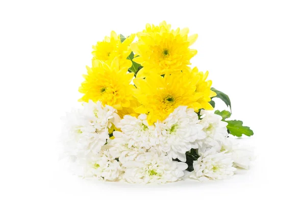 从白色背景中分离出来的黄色和白色菊花束 — 图库照片