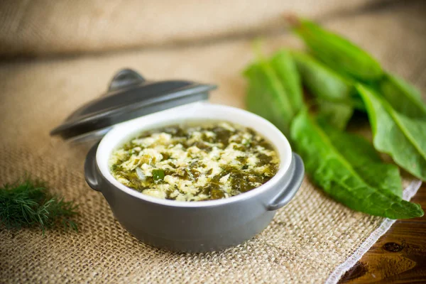 Sopa Orgânica Primavera Fresca Com Azeda Verde Ovo Uma Chapa — Fotografia de Stock