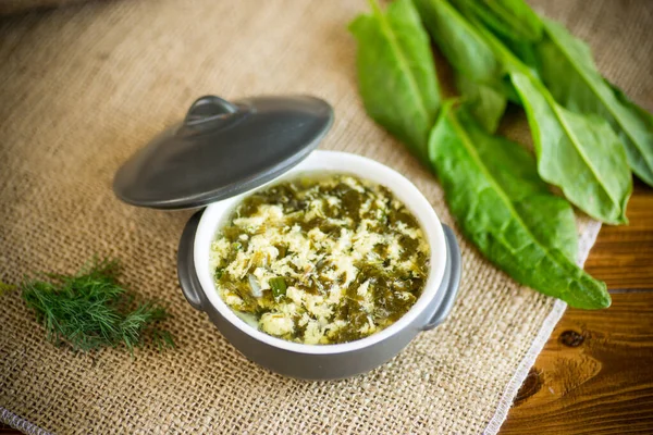 Sopa Orgânica Primavera Fresca Com Azeda Verde Ovo Uma Chapa — Fotografia de Stock