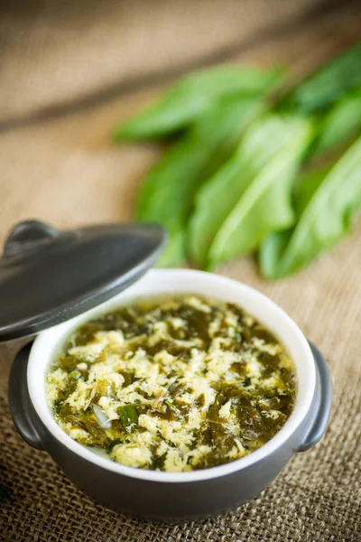 木のテーブルの上の皿に緑のソレルと卵の新鮮な春の有機スープ — ストック写真
