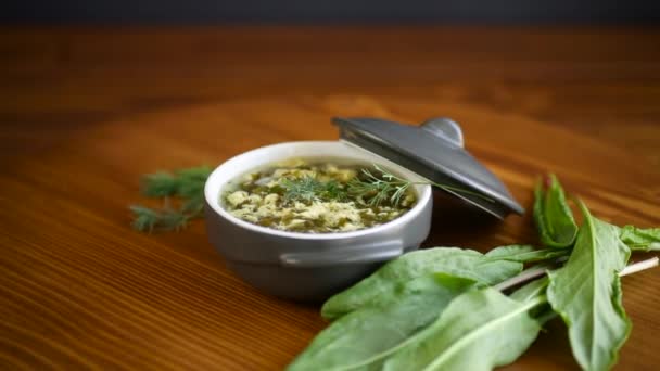 Frische Frühlingssuppe mit Sauerampfer und Ei im Teller — Stockvideo