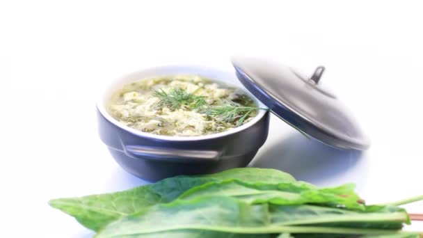 Fresh spring organic soup with green sorrel and egg in a plate — Stock Footage Fresh spring organic soup with green sorrel and egg in a plate Stock Footage