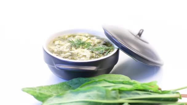 Sopa orgánica de primavera fresca con acedera verde y huevo en un plato — Vídeos de Stock