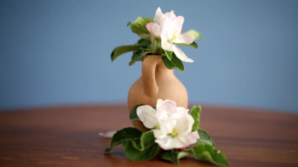 在木制桌子上的一个粘土花瓶里盛放着粉红色的苹果树花 — 图库视频影像