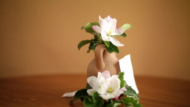 Spring pink apple tree flowers in a clay vase — Stock Video