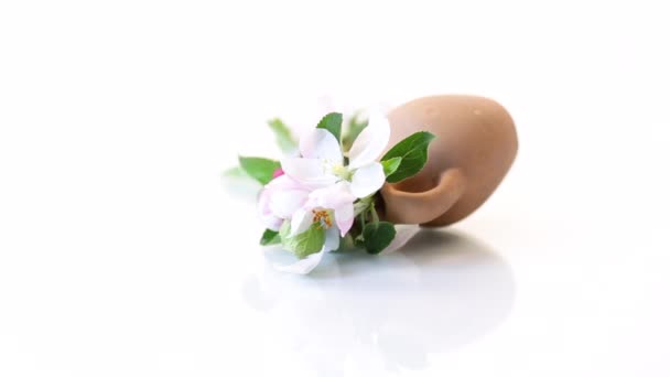 在一个粘土花瓶里放着粉红色的苹果树花 — 图库视频影像