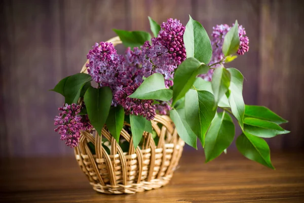 木のテーブルの上のバスケットに美しい花のライラックの花束 — ストック写真