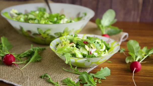 Frühlingssalat Aus Frühgemüse Salatblättern Radieschen Und Kräutern Auf Einem Teller — Stockvideo
