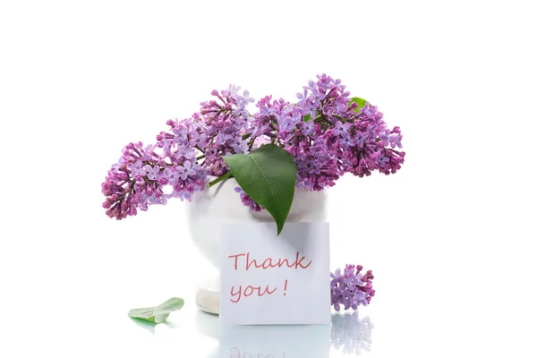 Bouquet Beautiful Blooming Lilacs Vase Isolated White Background — Stock Photo, Image