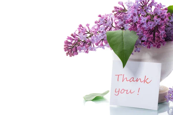 Букет Красивого Квітучого Бузку Вазі Ізольований Білому Тлі — стокове фото