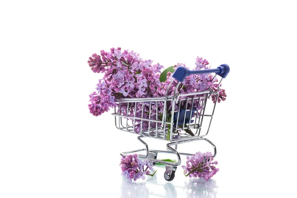 Strauß Frühlingsblüher Flieder Einem Einkaufswagen Isoliert Auf Weißem Hintergrund — Stockfoto