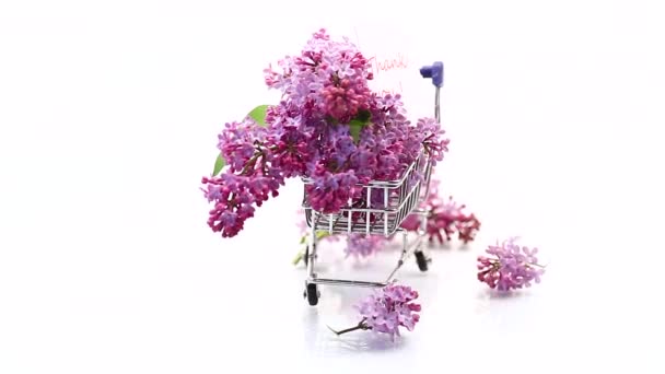 春の花の花束白い背景に隔離されたショッピングカートでライラック — ストック動画