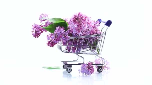 Ramo Lilas Florecientes Primavera Carrito Compras Aislado Sobre Fondo Blanco — Vídeos de Stock