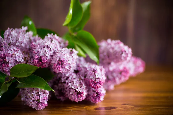 Bukett Med Vackra Våren Lila Blommor Ett Träbord — Stockfoto