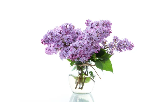 Strauß Schöner Frühlingsblumen Von Flieder Isoliert Auf Weißem Hintergrund — Stockfoto