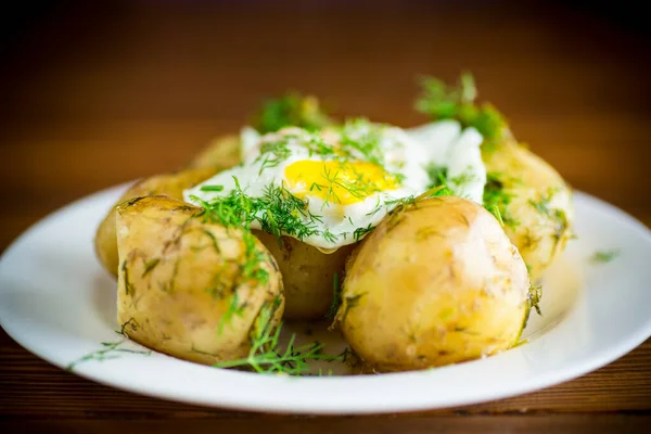 Gekochte Frühkartoffeln Mit Spiegelei Und Dill Einem Teller — Stockfoto