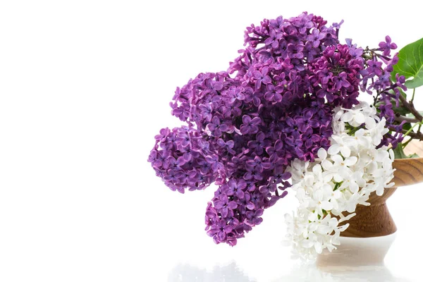Csokor Gyönyörű Virágzó Orgonák Egy Vázában Elszigetelt Fehér Háttér — Stock Fotó