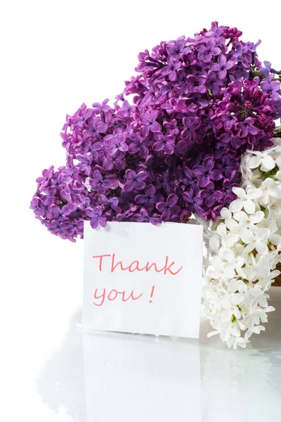 Bouquet Beautiful Blooming Lilacs Vase Isolated White Background — Stock Photo, Image