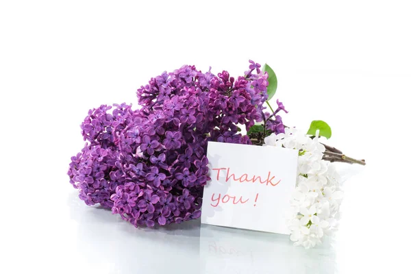 Ramo Hermosas Lilas Flor Aisladas Sobre Fondo Blanco —  Fotos de Stock