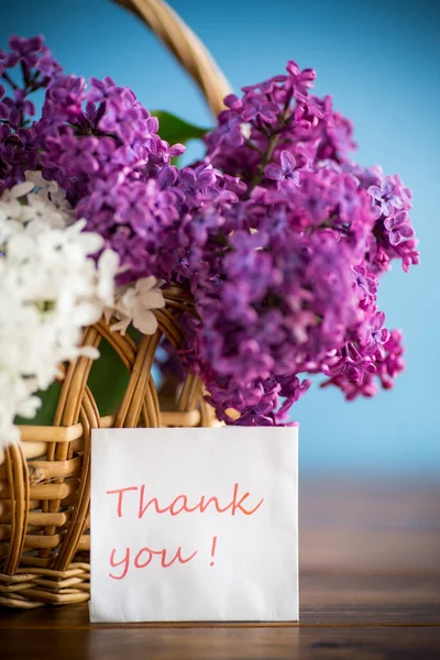 一束美丽的开着花的紫丁香 装在蓝底的篮子里 — 图库照片