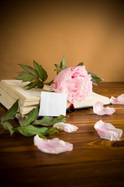 Şakayık pembe çiçek, kitap, ahşap bir masanın üzerindeki boş kart.