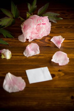 Yaprakları olan pembe bir çiçek, tahta bir masanın üzerinde boş bir kart.
