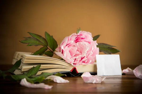 Peony Pink Beautiful Flower Book Empty Card Wooden Table — Stock Photo, Image
