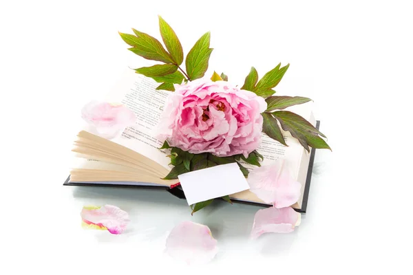 Παιωνία Ροζ Όμορφο Λουλούδι Βιβλίο Άδειο Κάρτα Απομονώνονται Λευκό — Φωτογραφία Αρχείου