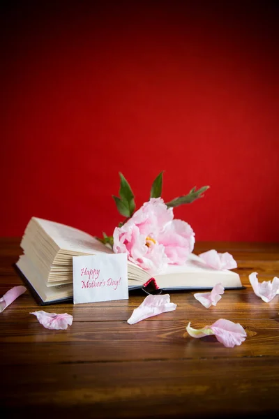 Pivoňková Růžová Krásná Květina Kniha Blahopřání Červeném Pozadí — Stock fotografie