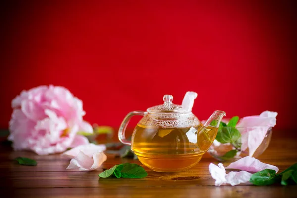 Kırmızı Arka Planda Cam Çaydanlıkta Gül Yapraklarından Yaz Çiçeği Çayı — Stok fotoğraf