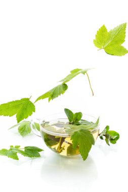 Beyaz arka planda izole edilmiş cam çaydanlıktaki üzümlü yapraklardan taze organik çay.
