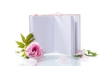 Yapraklı pembe güzel şakayık, beyaz arkaplanda izole edilmiş metin için boş defter