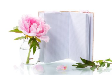 Yapraklı pembe güzel şakayık, beyaz arkaplanda izole edilmiş metin için boş defter