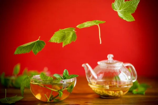 Літній Освіжаючий Органічний Чай Листя Смородини Скляному Чайнику Дерев Яному — стокове фото