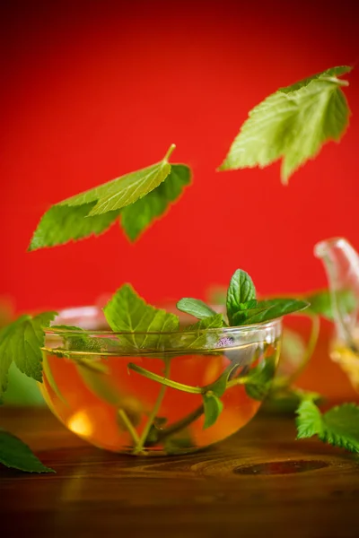 Summer Refreshing Organic Tea Currant Leaves Glass Teapot Wooden Table — Stock Photo, Image