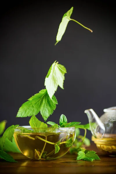 Summer Refreshing Organic Tea Currant Leaves Glass Teapot Wooden Table — Stock Photo, Image