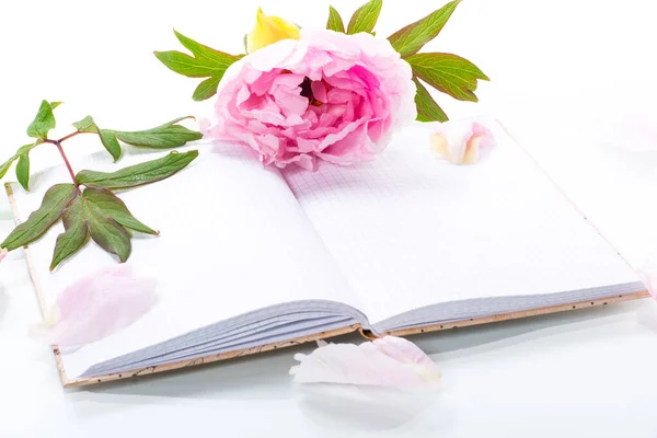 Roze Mooie Pioen Met Bloemblaadjes Blanco Notitieboekje Voor Tekst Geïsoleerd — Stockfoto