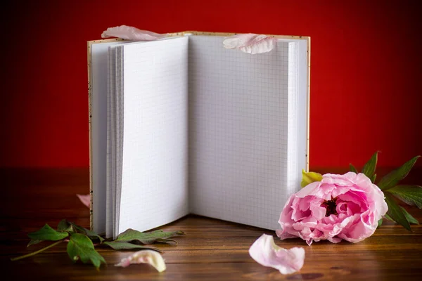 Peônia Bonita Rosa Com Pétalas Caderno Branco Texto Uma Mesa — Fotografia de Stock