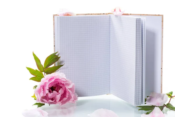 Pink Beautiful Peony Petals Blank Notebook Text Isolated White Background — Stock Photo, Image