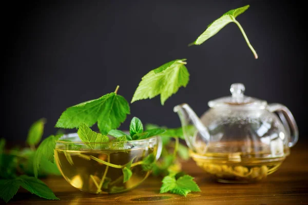 Été thé bio rafraîchissant à partir de feuilles de groseille dans une théière en verre — Photo