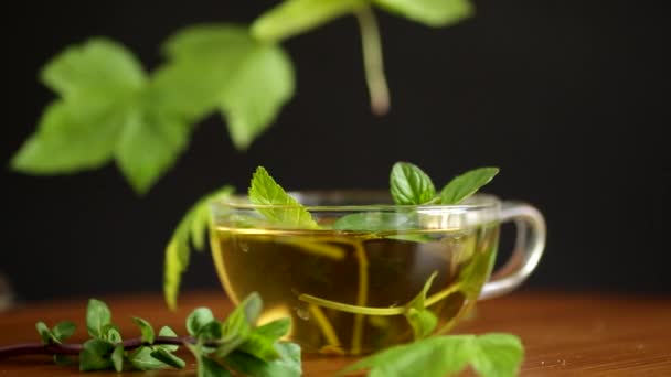 Té orgánico refrescante de verano de hojas de grosella en una tetera de vidrio — Vídeos de Stock