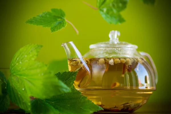 Summer refreshing organic tea from currant leaves in a glass teapot — Stock Photo, Image