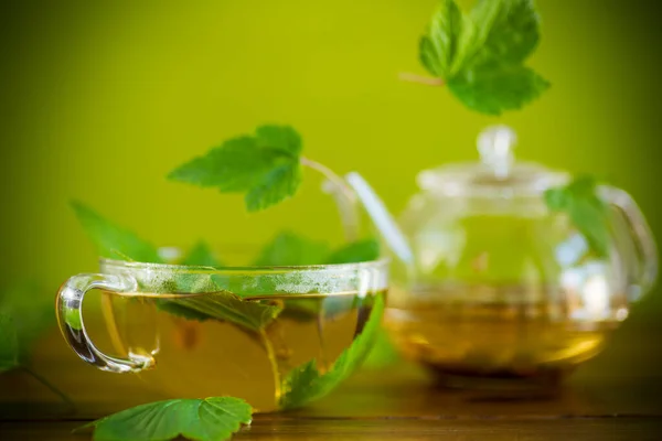 夏天用玻璃杯茶壶中的醋栗叶来提神绿茶 — 图库照片