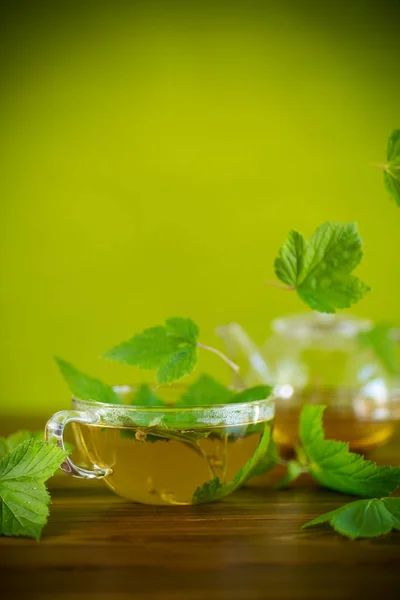 Lato orzeźwiający herbata organiczna z liści porzeczki w szklanym czajniku — Zdjęcie stockowe
