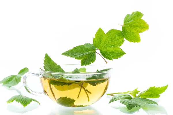 Summer refreshing organic tea from currant leaves in a glass teapot — Stock Photo, Image