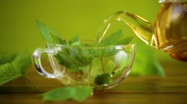 Yaz mevsimi ferahlatıcı organik çaydanlıktaki üzümlü yapraklardan yapılan çay