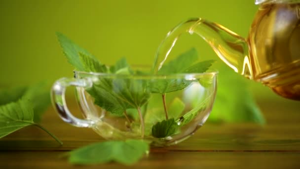 Té orgánico refrescante de verano de hojas de grosella en una tetera de vidrio — Vídeo de stock