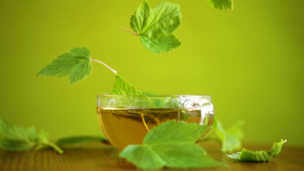 Летний освежающий органический чай из листьев смородины в стакане чайник — стоковое видео