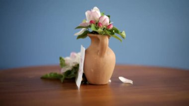 Kil vazoda bahar pembe elma ağacı çiçekleri